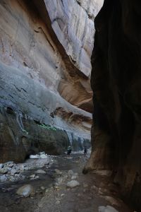 Boční kaňon v Zion Narrows